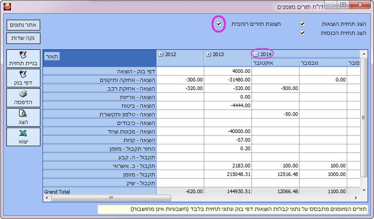 תזרים מזומנים-תצוגה רוחבית