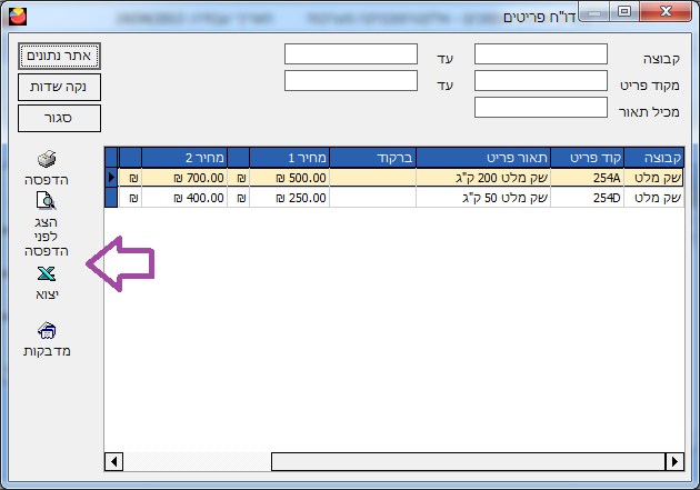 דו"ח מחירון - אפשרויות יצוא
